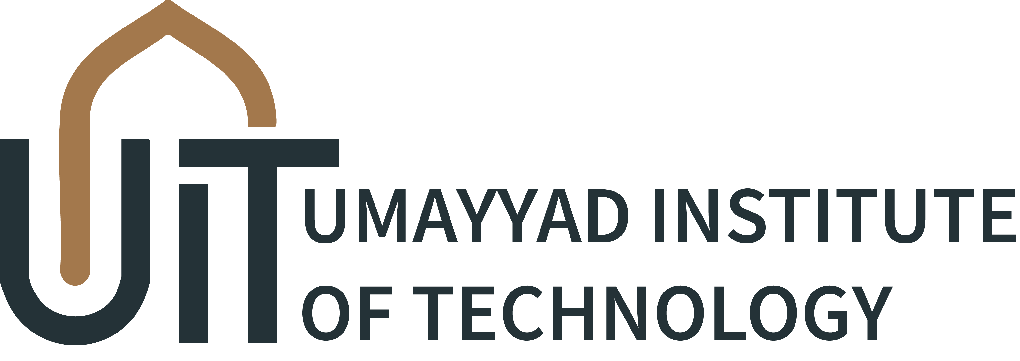 Umayyad Institute of Technology